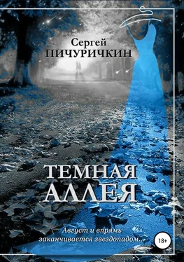 Сергей Пичуричкин Темная аллея обложка книги