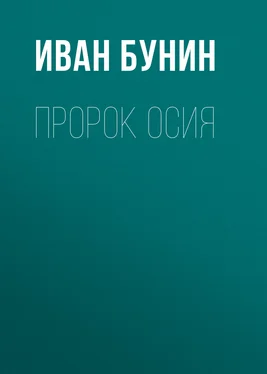 Иван Бунин Пророк Осия обложка книги