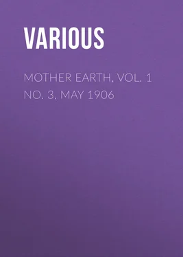 Various Mother Earth, Vol. 1 No. 3, May 1906 обложка книги