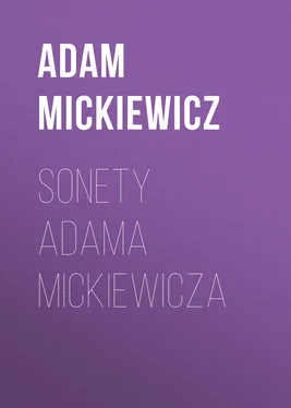 Adam Mickiewicz Sonety Adama Mickiewicza обложка книги