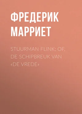Frederick Marryat Stuurman Flink; of, De schipbreuk van «De Vrede» обложка книги