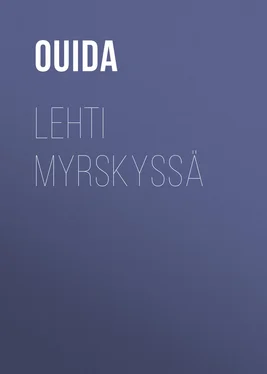 Ouida Lehti myrskyssä обложка книги