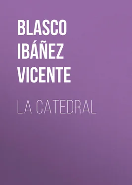 Vicente Blasco Ibáñez La Catedral обложка книги