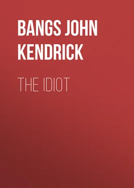 John Bangs The Idiot