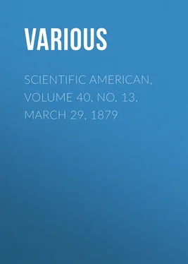 Various Scientific American, Volume 40, No. 13, March 29, 1879 обложка книги