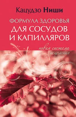 Кацудзо Ниши Формула здоровья для сосудов и каппиляров. Новая система исцеления обложка книги