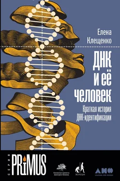 Елена Клещенко ДНК и её человек обложка книги