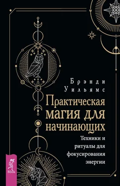 Уильямс Брэнди Практическая магия для начинающих обложка книги