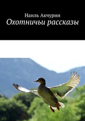 Наиль Акчурин - Охотничьи рассказы