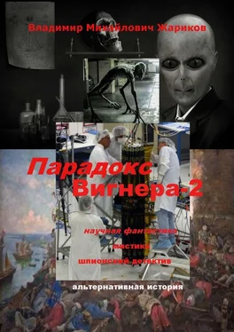 Владимир Жариков Парадокс Вигнера – 2 обложка книги