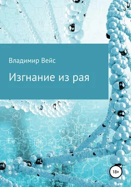 Владимир Вейс Изгнание из рая обложка книги