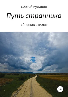 Сергей Кулаков Путь странника обложка книги