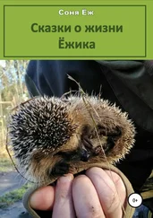 Соня Ёж - Сказки о жизни Ёжика