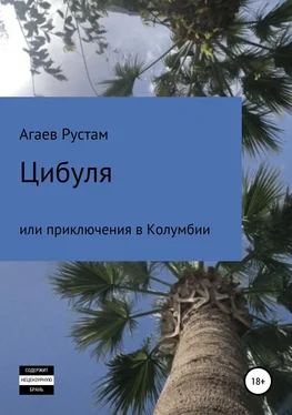 Рустам Агаев Цибуля, или Приключения в Колумбии обложка книги