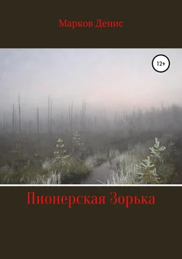 Денис Марков Пионерская Зорька обложка книги
