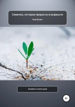 Ума Блант Семечко, которое проросло в асфальте обложка книги