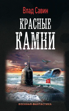 Владислав Савин Красные камни обложка книги