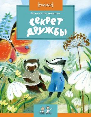 Ксения Беленкова Секрет дружбы обложка книги