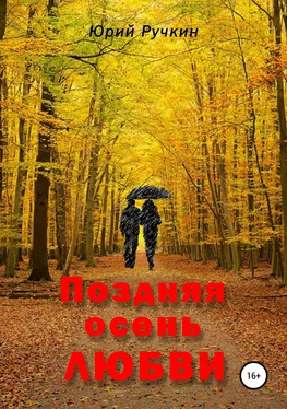 Юрий Ручкин Поздняя осень любви обложка книги