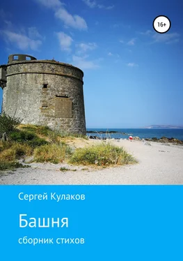 Сергей Кулаков Башня обложка книги