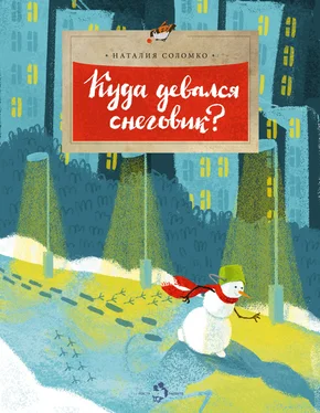 Наталия Соломко Куда девался снеговик? обложка книги