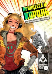 Антон Седнин - Принцесса и король