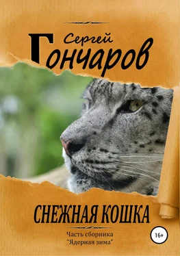 Сергей Гончаров Снежная кошка обложка книги