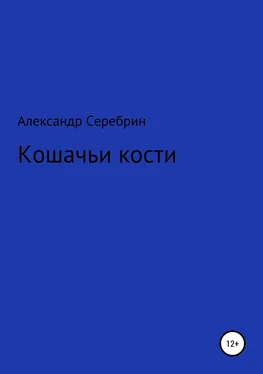 Александр Серебрин Кошачьи кости обложка книги