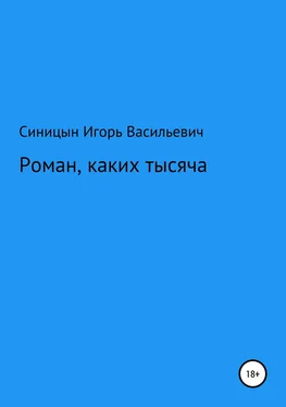 Игорь Синицын Роман, каких тысячи обложка книги