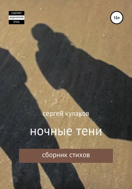 Сергей Кулаков ночные тени обложка книги