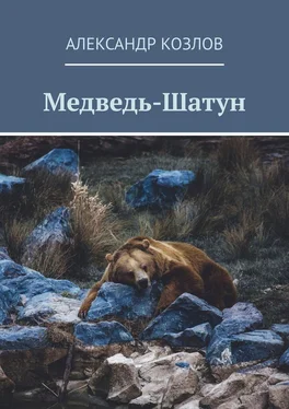 Александр Козлов Медведь-Шатун обложка книги