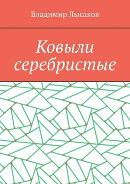 Владимир Лысаков Ковыли серебристые обложка книги