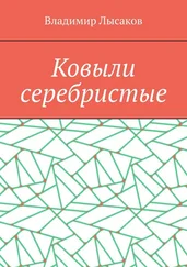 Владимир Лысаков - Ковыли серебристые