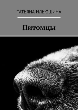 Татьяна Ильюшина Питомцы обложка книги