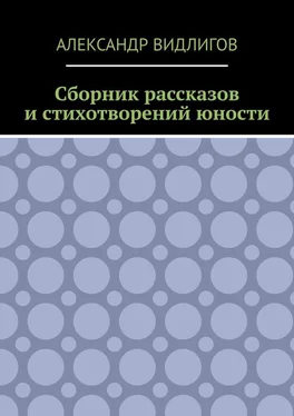 Александр Видлигов Сборник рассказов и стихотворений юности обложка книги