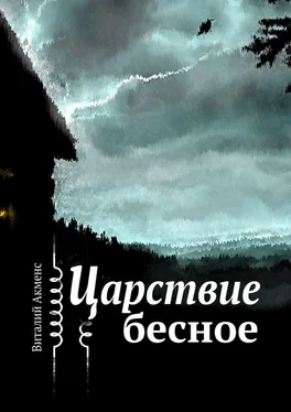 Виталий Акменс Царствие бесное обложка книги