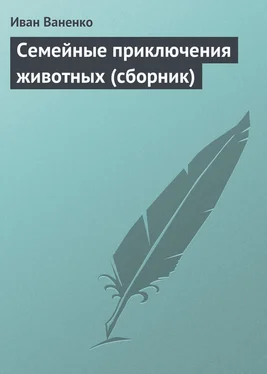 Иван Ваненко Семейные приключения животных (сборник) обложка книги