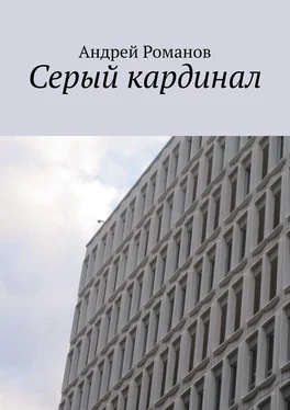 Андрей Романов Серый кардинал обложка книги