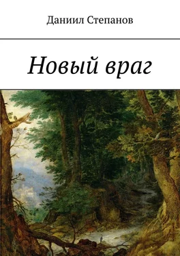 Даниил Степанов Новый враг обложка книги