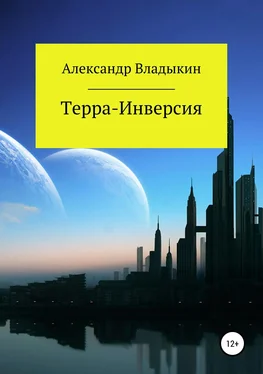 Александр Владыкин Терра- Инверсия обложка книги