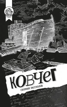 Array Коллектив авторов Ковчег обложка книги