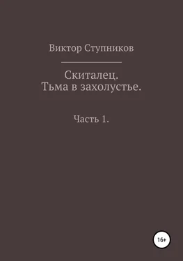 Виктор Ступников Скиталец. Тьма в захолустье. Часть 1 обложка книги