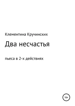 Наталья Клементина Кручинских Два несчастья обложка книги
