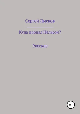 Сергей Лысков Куда пропал Нельсон? обложка книги