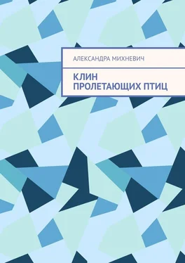 Александра Михневич Клин пролетающих птиц обложка книги