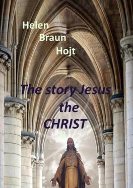 Helen Braun Hojt The Story of Jesus The Christ обложка книги