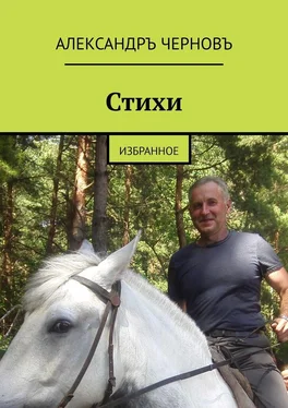 Александръ Черновъ Стихи. избранное обложка книги