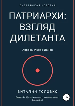 Виталий Головко Патриархи: взгляд дилетанта обложка книги