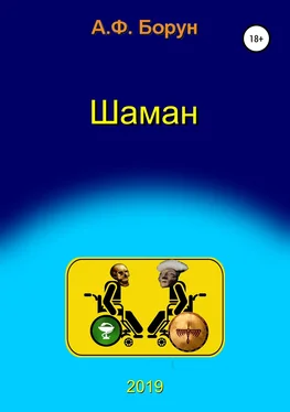 Александр Борун Шаман, или Диалоги в медкомиссии обложка книги