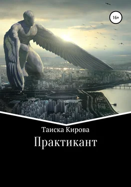 Таиска Кирова Практикант обложка книги